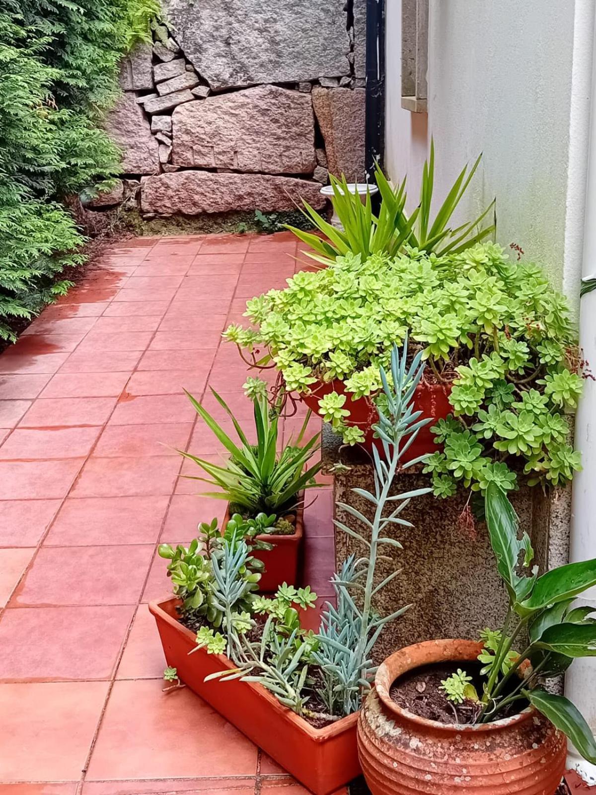 Вилла Vivienda Con Jardin Terraza Y Barbacoa Picona Экстерьер фото
